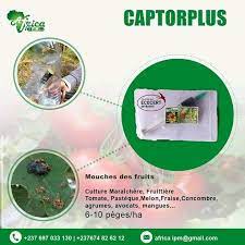 captorplus